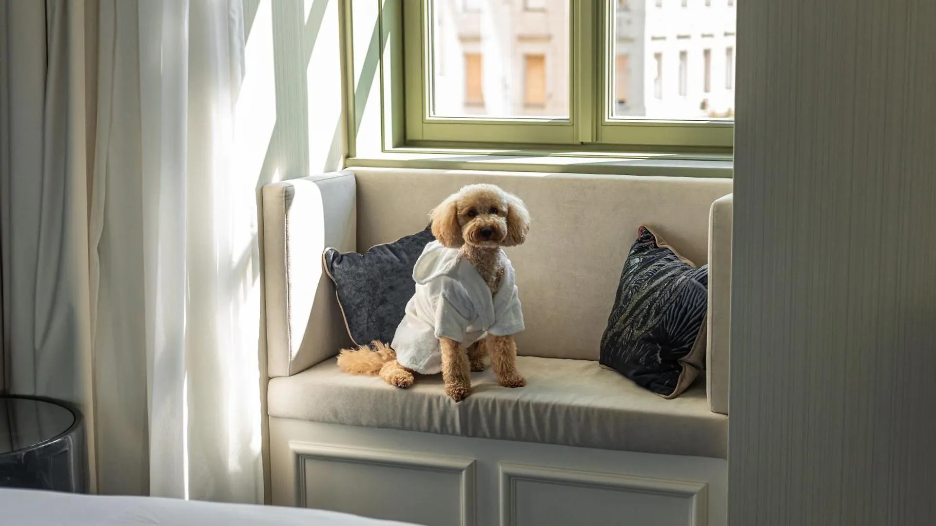 Hotel Kimpton Bem Budapest By Ihg